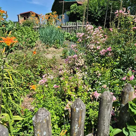 Apartma Zupelefski Raj Lägenhet Kapele