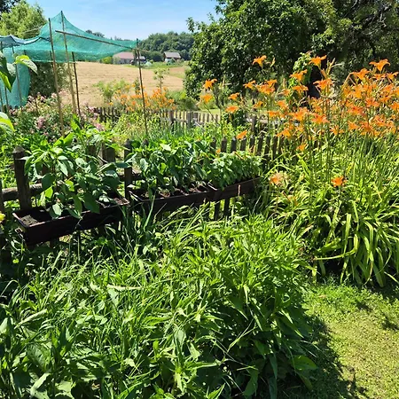 Apartma Zupelefski Raj Appartement