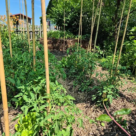 Apartma Zupelefski Raj Lägenhet Kapele