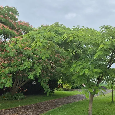 Apartma Zupelefski Raj Apartment