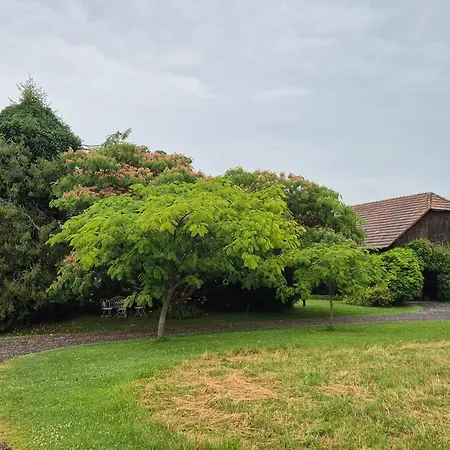 Apartment Apartma Zupelefski Raj *