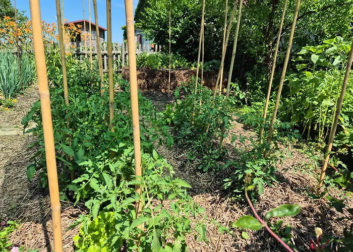 Apartma Zupelefski Raj شقة Kapele